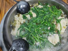 -陈记泸州酸菜豆花火锅(建设路店)
