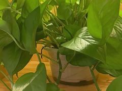 -和记小菜(名品店)