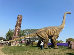 -南通洲际绿博园