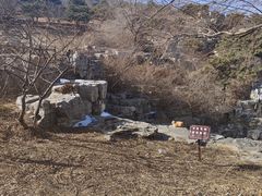 -北京西山国家森林公园