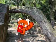 -金堂县云顶石城风景区