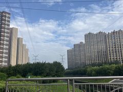-丁香湖公园