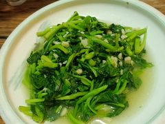 -小小饭店·休闲农庄·安吉松树林里的农家菜