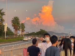 -宝安西湾红树林湿地公园