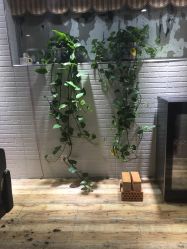 -佑米造型假发订制