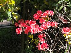 -南汇桃花村
