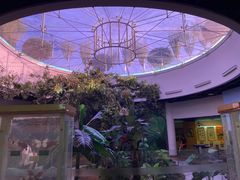 -陕西自然博物馆