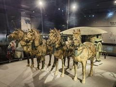 -秦始皇帝陵博物院-丽山园