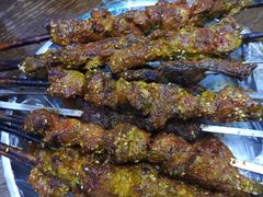 -宝山一号馕坑肉