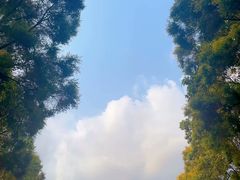 -深圳国际园林花卉博览园