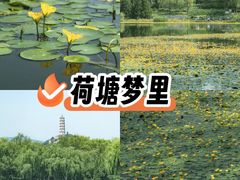 -北坞公园