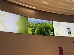 -喜茶(迪士尼小镇DP店)