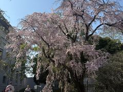 -东京国立博物馆