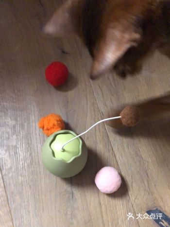 玩两天就闲置了玩的时间最久的