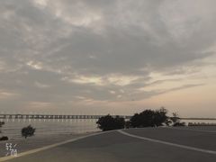 -宝安西湾红树林湿地公园