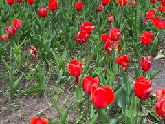 -长春公园(普阳街道)