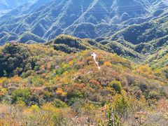 -大岭沟猕猴桃谷风景区