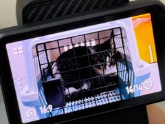 -爱佳宠物中心医院24H·CT·骨外科·猫专科(瑶海万达店)