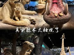 -山东博物馆