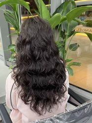 -天使之手