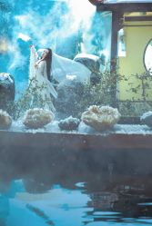-梓摄影古装写真工作室(富力广场店)