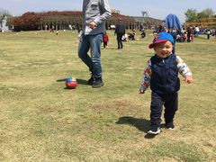 -武汉紫薇都市田园