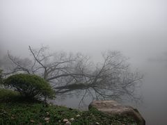 -四明山国家森林公园