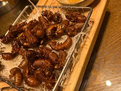 -鸽子窝(青塔店)