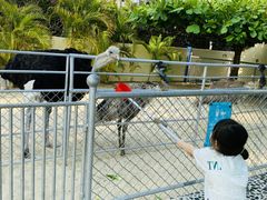 -三亚亚龙湾天域度假酒店