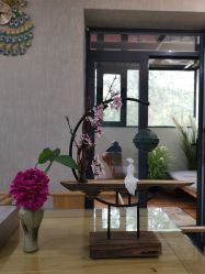 点击看大图 -翎兰瑜伽·普拉提