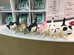 -美联众合动物医院·24h转诊中心