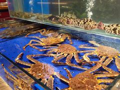 水产区-船歌·鱼水饺青岛菜(闽江二路店)