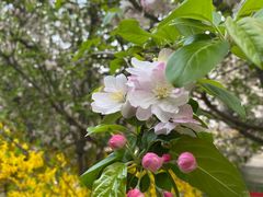 -元大都城垣遗址公园