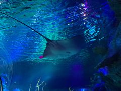 -沈阳海洋探索中心