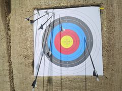 -蓝天射箭馆·专业射箭运动(诚丰广场店)