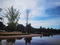 -西安浐灞国家湿地公园