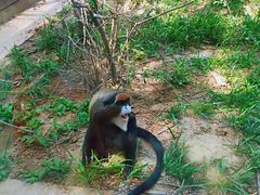 -石家庄市动物园