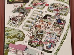 -南宫五洲植物乐园