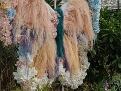 -上海鲜花港