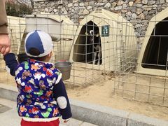 -君乐宝优致牧场