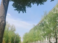 -东北农业大学饺子园