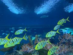 -上海海昌海洋公园