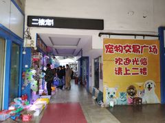 -山东柏宁水族批发广场