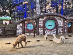 -茅山东方盐湖城景区