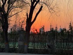 -鸽子窝(宋庄店)