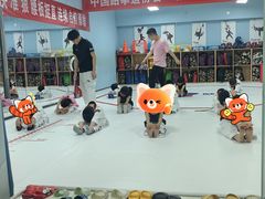 -嗨动跆拳道体能馆(菜百店)