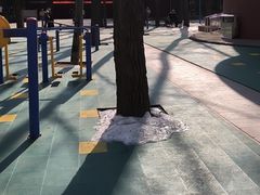 -森林公园(尖草坪区)