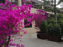 -月圆霖特色农家乐