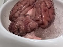 -大龙燚火锅