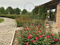 -石家庄市植物园